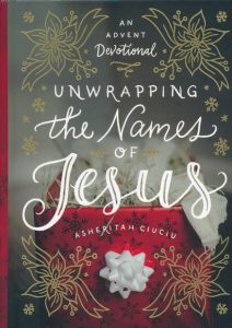 The Names Of Jesus Devotional Book